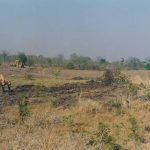 services_clip_image017