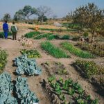 services_clip_image021