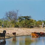 services_clip_image025